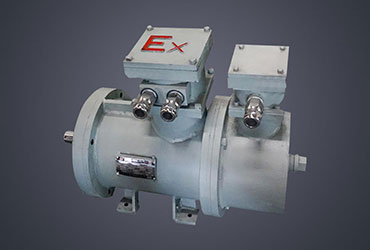 JBZ2-H4#-7# Series Explosion-proof Three Phase Marine Induction Motor for Hoisting