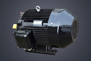 YE2 Series Three Phase Induction Motor